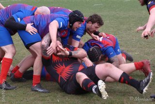 250504_040_r6_09260.jpg - JPEG - 482.5 ko - 1600×1067 px