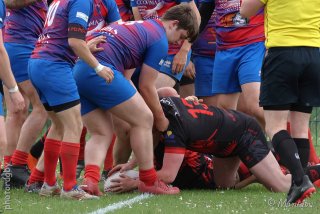 250504_055_r7_36486.jpg - JPEG - 338.3 ko - 1600×1067 px