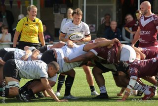 250928_d1_051_r6_13458.jpg - JPEG - 564.1 ko - 2000×1333 px