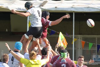 250928_d1_058_r6_13469.jpg - JPEG - 415.8 ko - 2000×1333 px