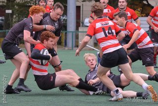 251005_d2_090_r6_13880.jpg - JPEG - 595.4 ko - 2000×1333 px