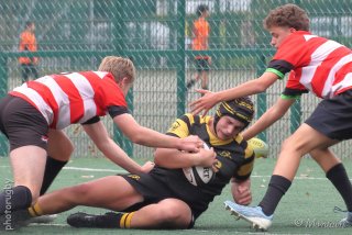 251011_u16_030_r7_43295.jpg - JPEG - 447.5 ko - 2000×1333 px