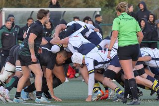 251026_d1_066_r7_45172.jpg - JPEG - 461.3 ko - 2000×1334 px