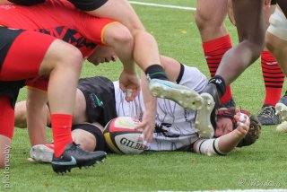 251102_d1_013_r7_45455.jpg - JPEG - 431 ko - 2000×1334 px