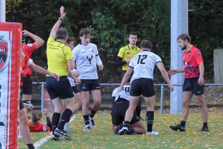 251102_d1_043_r7_45515.jpg - JPEG - 572.8 ko - 2000×1333 px