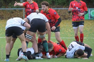 251102_d1_075_r6_15065.jpg - JPEG - 526.1 ko - 2000×1333 px