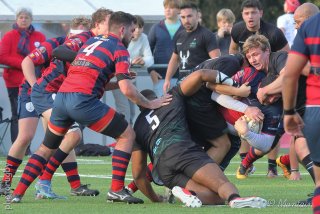 251109_d1_045_r7_46467.jpg - JPEG - 568.5 ko - 2000×1333 px