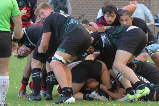 251109_d1_111_r7_46587.jpg - JPEG - 415 ko - 2000×1333 px