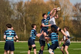 2525_jz2_1638.jpg - JPEG - 378.8 ko - 2000×1333 px