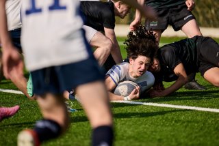 2544_jz1_2448.jpg - JPEG - 345.8 ko - 2000×1333 px