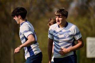 2574_jz1_2478.jpg - JPEG - 298.1 ko - 2000×1333 px