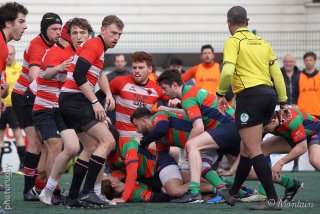 260301_d2_014_r6_20120.jpg - JPEG - 488 ko - 2000×1333 px