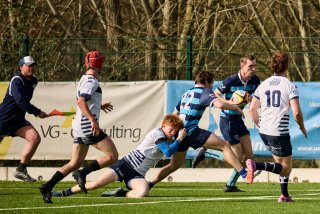 2665_jz1_7108.jpg - JPEG - 540.4 ko - 2000×1333 px