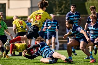 289_jz1_0177.jpg - JPEG - 482.8 ko - 2000×1333 px