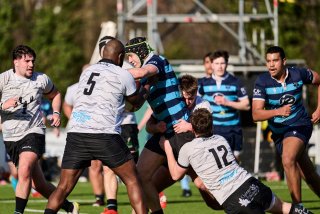 3052_jz2_3743.jpg - JPEG - 427.7 ko - 2000×1333 px