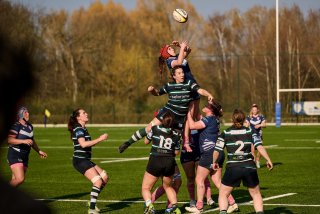 3205_jz2_5098.jpg - JPEG - 406.9 ko - 2000×1333 px