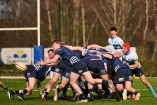 3232_jz2_2062.jpg - JPEG - 405.8 ko - 2000×1333 px