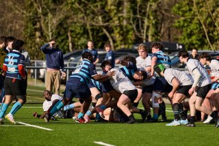 3239_jz1_2572.jpg - JPEG - 542.7 ko - 2000×1333 px