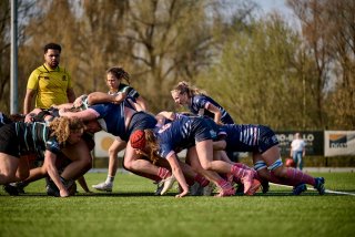 3242_jz2_5119.jpg - JPEG - 408.7 ko - 2000×1333 px