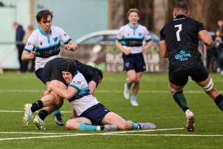 3548_jz1_2806.jpg - JPEG - 380.2 ko - 2000×1333 px