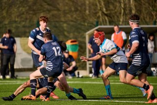 3578_jz1_7548.jpg - JPEG - 441 ko - 2000×1333 px