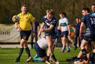 3691_jz1_7629.jpg - JPEG - 383.3 ko - 2000×1333 px