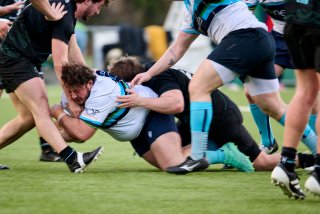 3700_jz1_2938.jpg - JPEG - 324.2 ko - 2000×1333 px