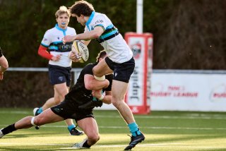 3744_jz1_2984.jpg - JPEG - 361.1 ko - 2000×1332 px