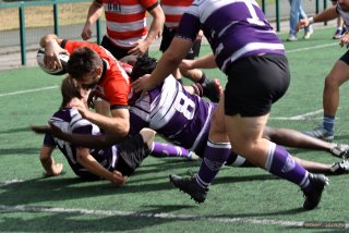 39-23.jpg - JPEG - 128 ko - 1000×652 px