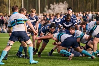 3998_jz2_2339.jpg - JPEG - 512.1 ko - 2000×1333 px