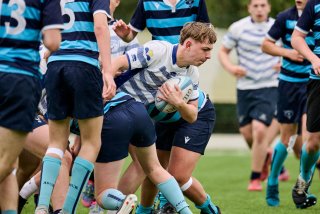 4070_jz1_7832.jpg - JPEG - 390.7 ko - 2000×1334 px