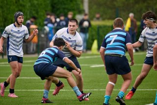 4081_jz1_7843.jpg - JPEG - 439.1 ko - 2000×1334 px