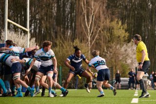 4111_jz2_2404.jpg - JPEG - 459.4 ko - 2000×1333 px