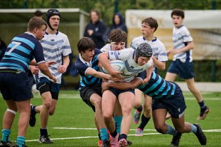 4120_jz1_7882.jpg - JPEG - 437.8 ko - 2000×1333 px