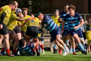 413_jz1_0277.jpg - JPEG - 513.1 ko - 2000×1333 px