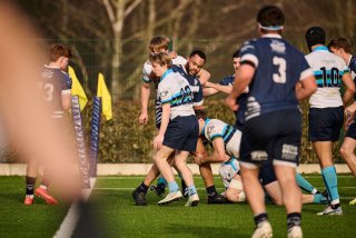 4255_jz1_7924.jpg - JPEG - 393.8 ko - 2000×1333 px