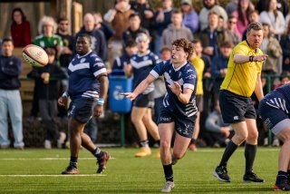 4309_jz1_7969.jpg - JPEG - 413.9 ko - 2000×1333 px