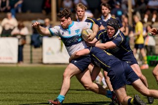 4465_jz2_2647.jpg - JPEG - 401.3 ko - 2000×1333 px