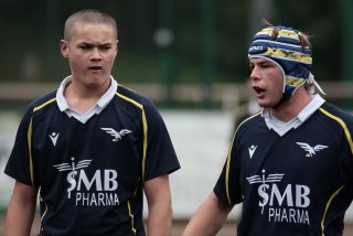 452a7586.jpg - JPEG - 255.7 ko - 2000×1333 px