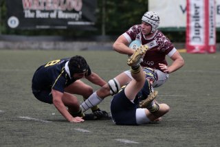 452a7788.jpg - JPEG - 338.3 ko - 2000×1333 px