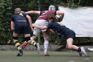 452a7812.jpg - JPEG - 354.8 ko - 2000×1334 px