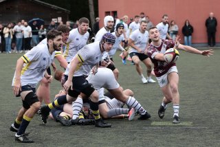 452a8016.jpg - JPEG - 503.2 ko - 2000×1334 px