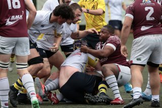 452a8183.jpg - JPEG - 400.5 ko - 2000×1333 px