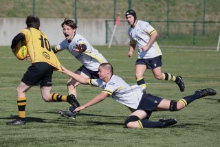 452a8374.jpg - JPEG - 423 ko - 2000×1334 px