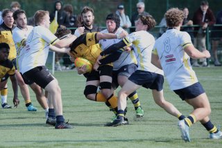 452a8386.jpg - JPEG - 419.3 ko - 2000×1333 px