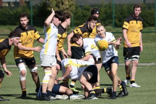 452a8508.jpg - JPEG - 448.7 ko - 2000×1333 px