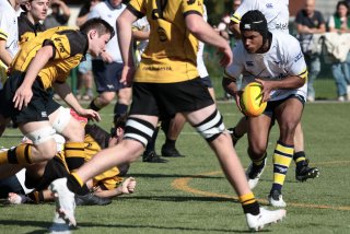 452a8641.jpg - JPEG - 421.4 ko - 2000×1333 px