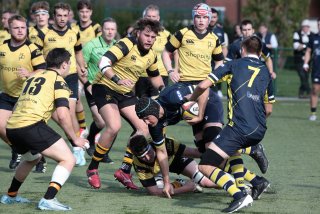 452a8758.jpg - JPEG - 479.1 ko - 2000×1333 px