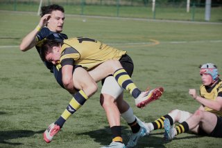 452a8931.jpg - JPEG - 330.3 ko - 2000×1333 px