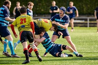 463_jz1_0314.jpg - JPEG - 545.9 ko - 2000×1333 px